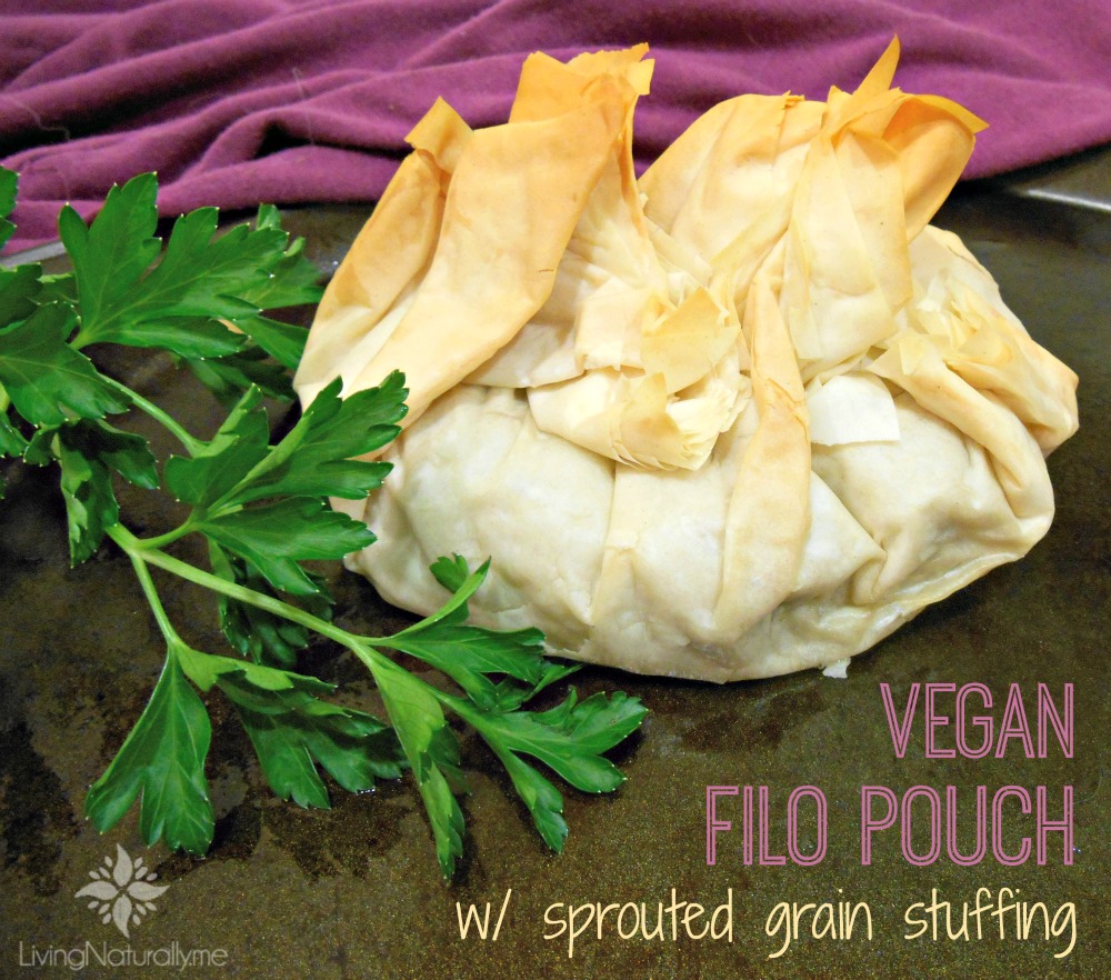 Vegan Sprouted Grain Stuffing Filo Pouches